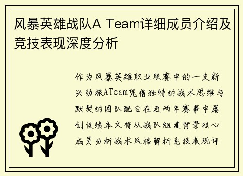 风暴英雄战队A Team详细成员介绍及竞技表现深度分析